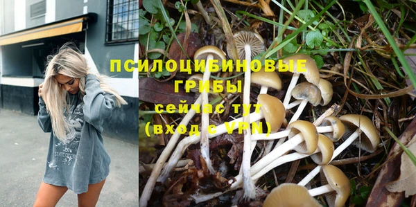 мдпв Мегион